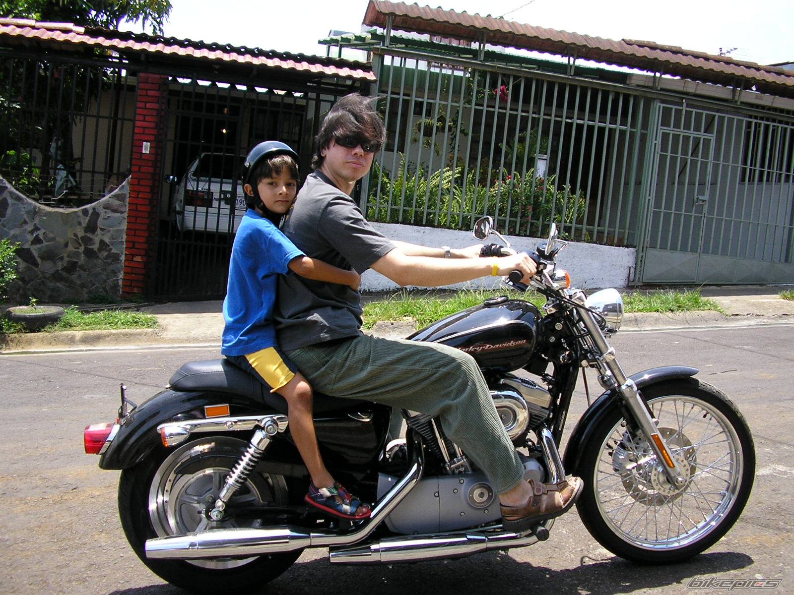 2005 HARLEY DAVIDSON XL 883C | Picture 415788 motorcycle photo