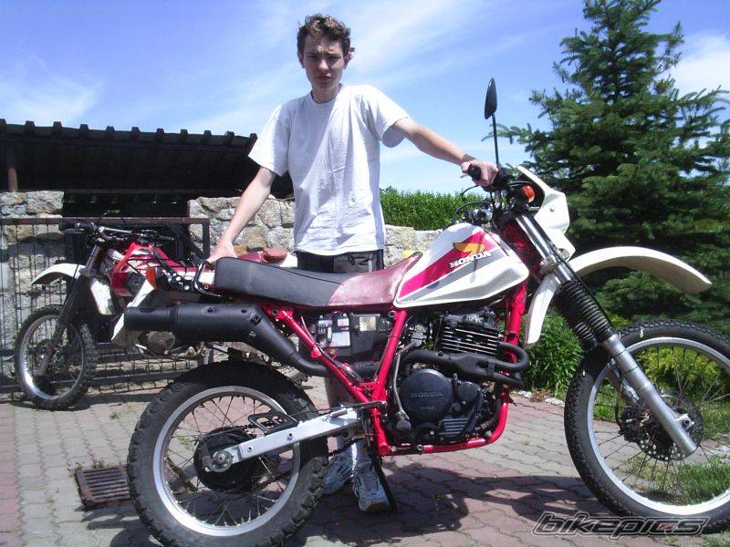 1984 HONDA XL 600 | Picture 415810 motorcycle photo