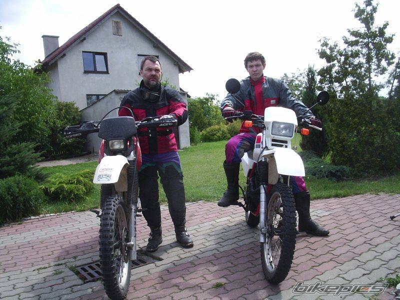 1984 HONDA XL 600 | Picture 415856 motorcycle photo