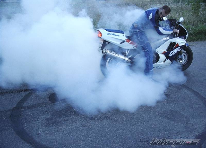1993 HONDA CBR 900 | Picture 415891 motorcycle photo