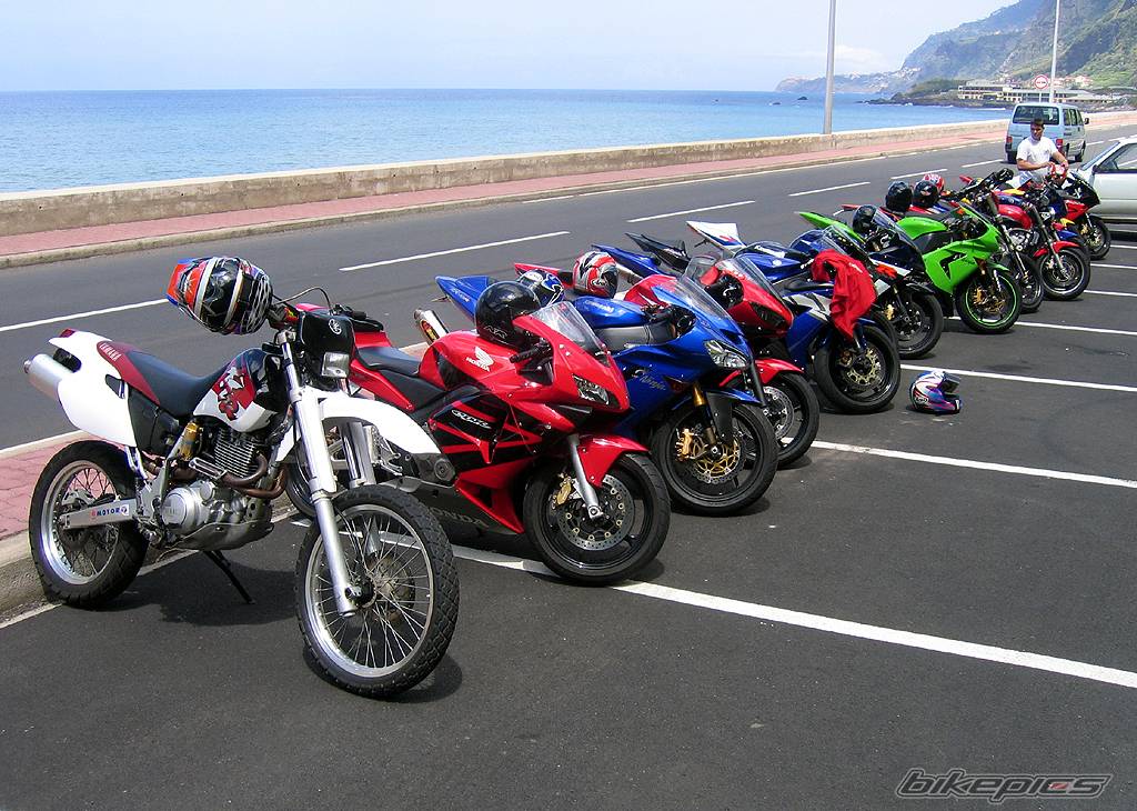 2003 HONDA CBR 600 | Picture 416227 motorcycle photo