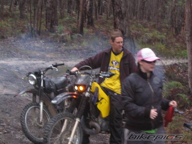 2000 SUZUKI RMX 250 | Picture 416374 motorcycle photo