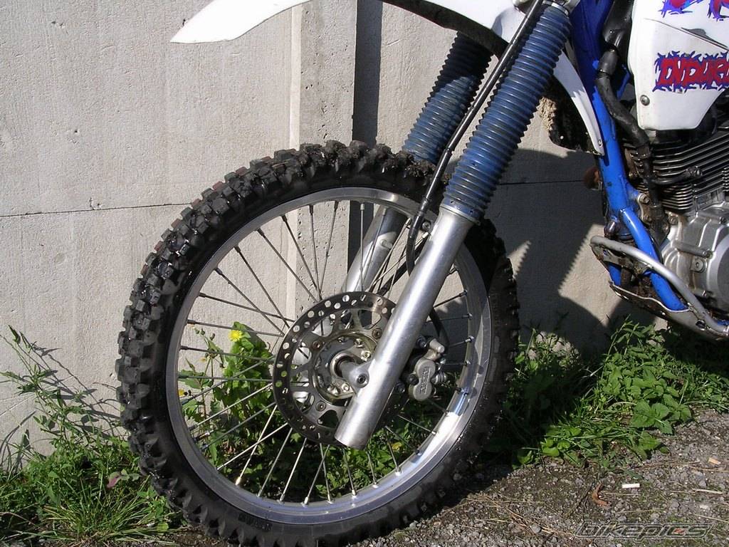 1995 SUZUKI DR 350 | Picture 416607 motorcycle photo