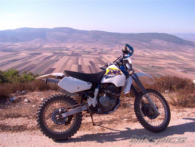 1992 SUZUKI DR 350 | Picture 416625 motorcycle photo