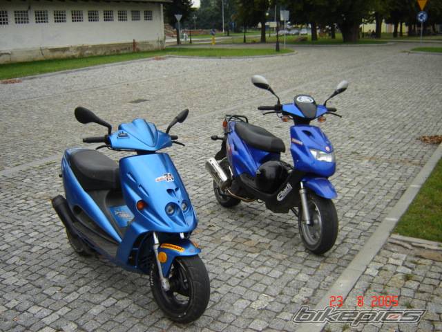 2005 MALAGUTI PHANTOM 50 F12 | Picture 417569 motorcycle photo