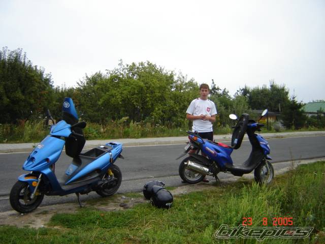2001 MALAGUTI PHANTOM 50 F12 | Picture 417570 motorcycle photo