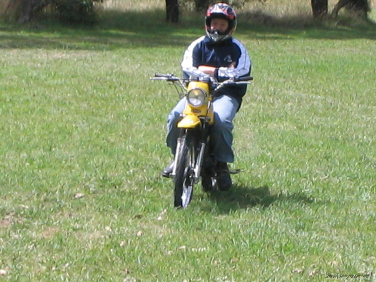 1985 SUZUKI TS 185 | Picture 418216 motorcycle photo