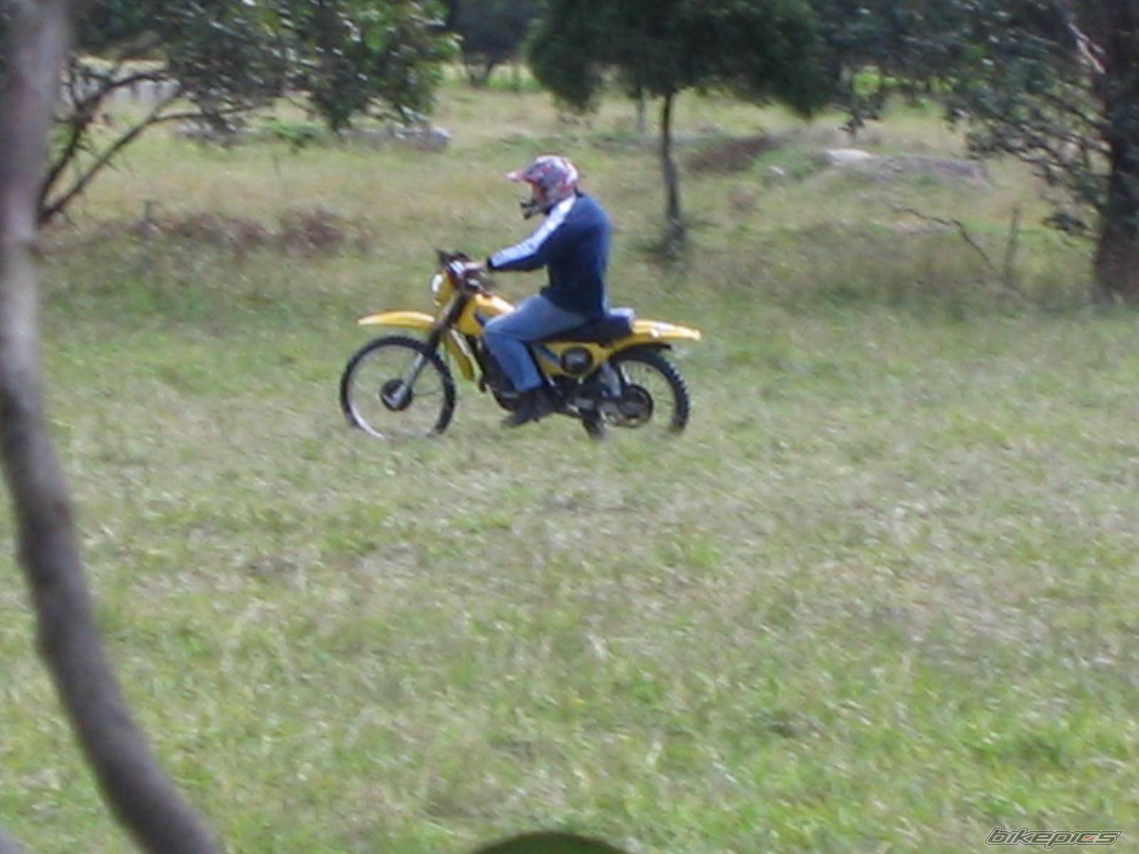1985 SUZUKI TS 185 | Picture 418228 motorcycle photo