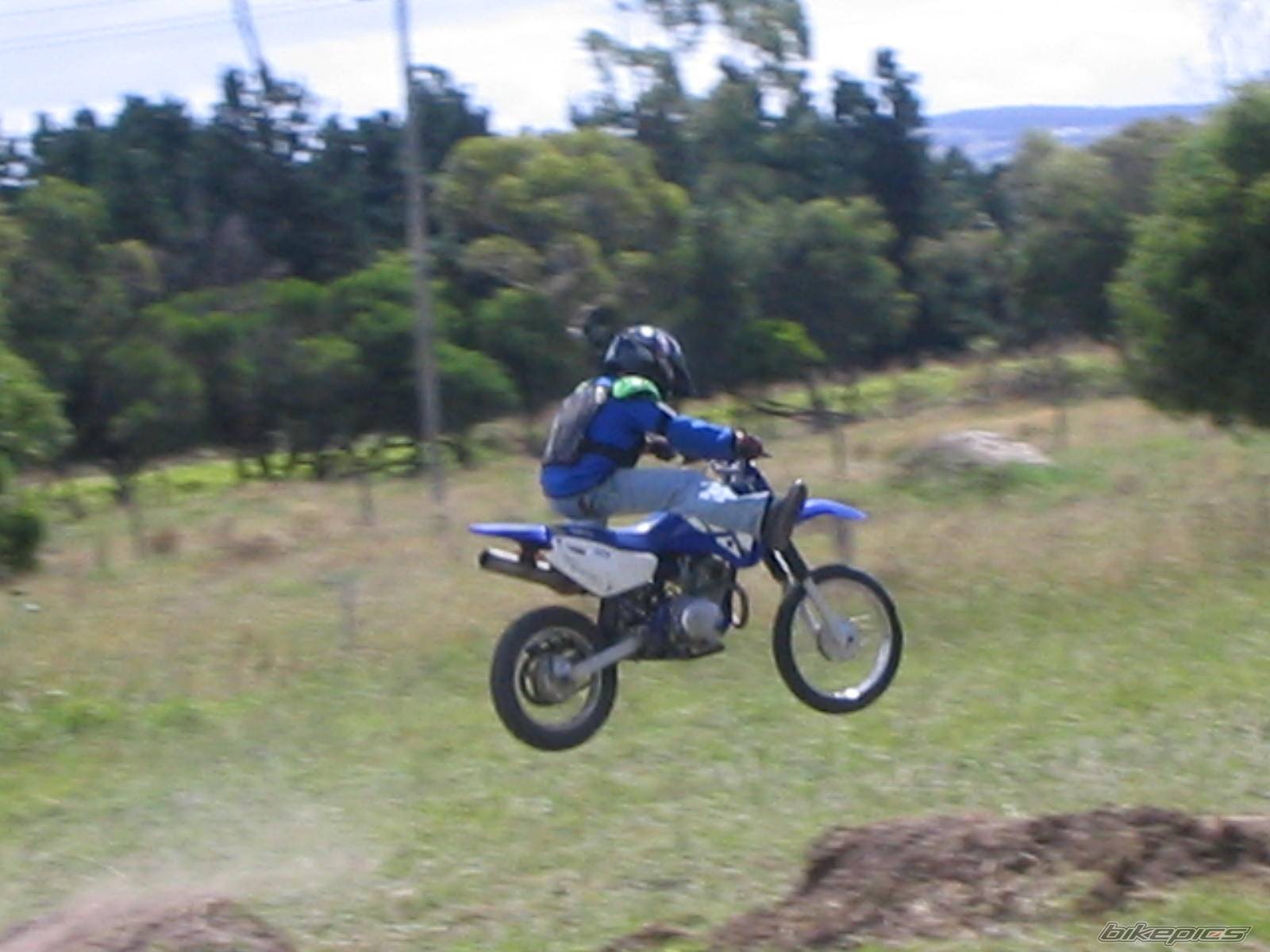 2002 YAMAHA TTR 125 | Picture 418230 motorcycle photo