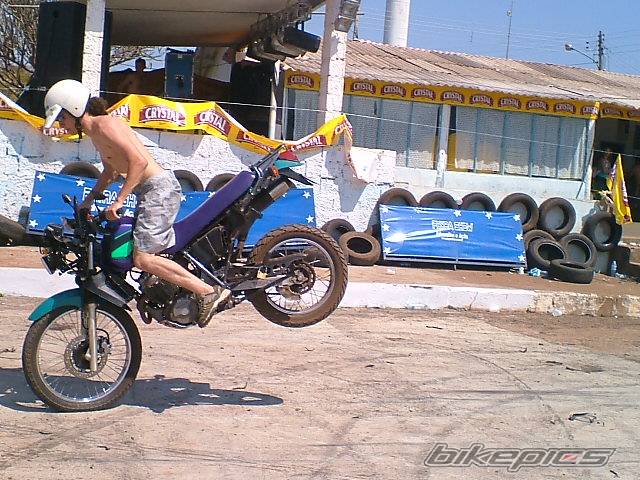 1999 HONDA NX 350 | Picture 418298 motorcycle photo