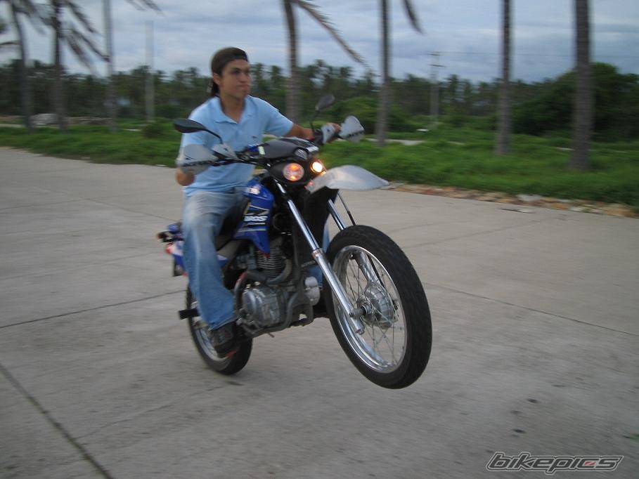 2005 HONDA NXR 125 | Picture 418304 motorcycle photo