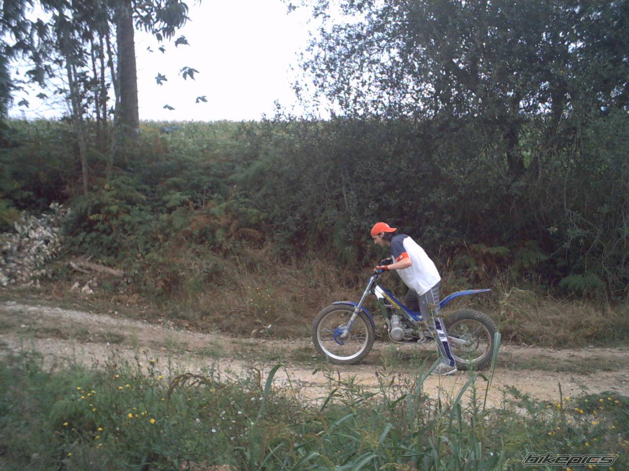 2002 SHERCO 2.5 | Picture 418735 motorcycle photo