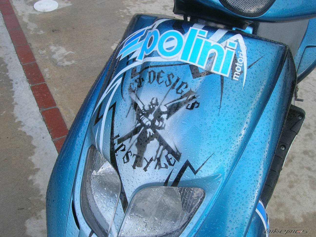 1999 BENELLI K2 50 | Picture 419604 motorcycle photo