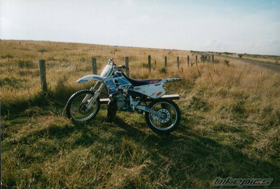 1995 YAMAHA YZ 250 | Picture 41977 motorcycle photo
