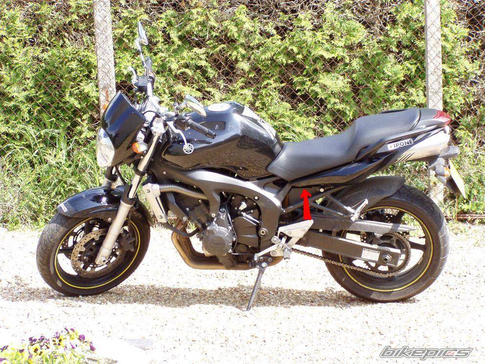 2005 YAMAHA FZ6 FAZER | Picture 419796 motorcycle photo