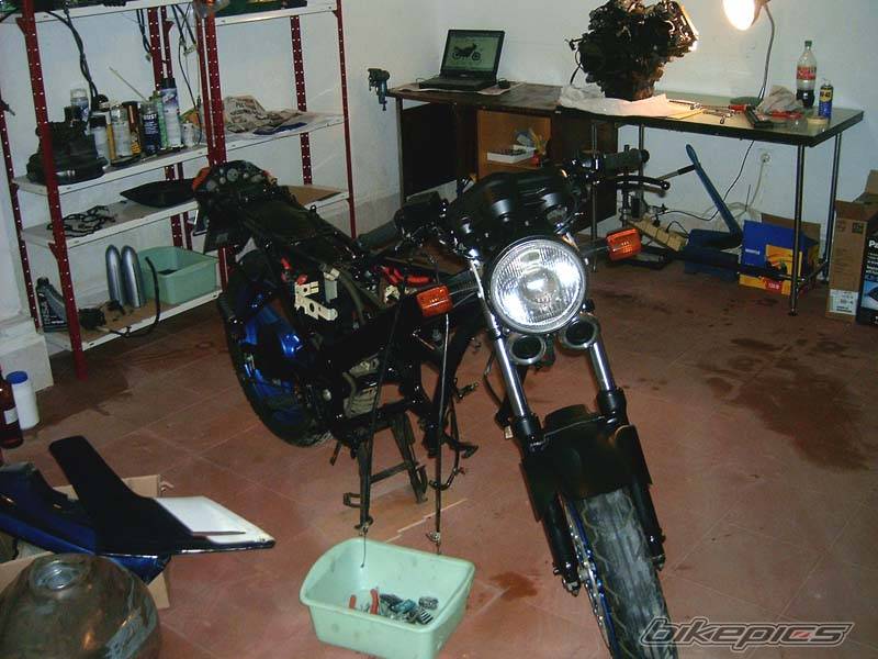 1988 HONDA VTZ 250 | Picture 420026 motorcycle photo