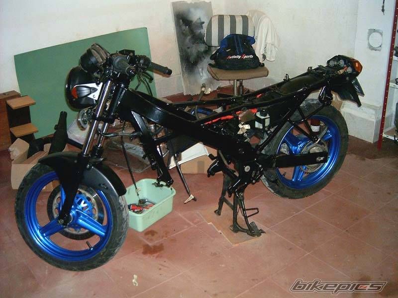 1988 HONDA VTZ 250 | Picture 420027 motorcycle photo