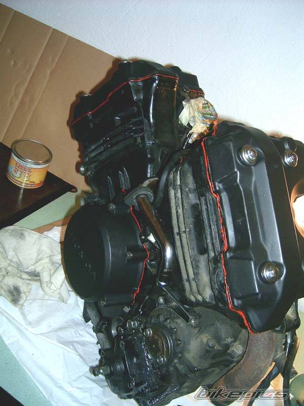 1988 HONDA VTZ 250 | Picture 420034 motorcycle photo