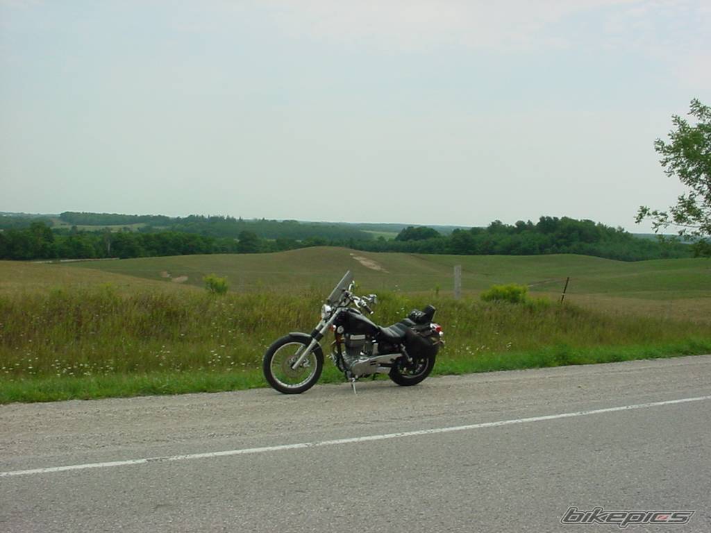 1986 SUZUKI SAVAGE | Picture 420566 motorcycle photo