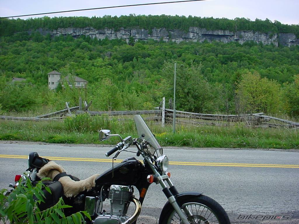 1986 SUZUKI SAVAGE | Picture 420570 motorcycle photo