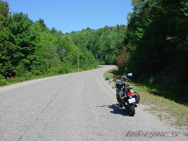 1986 SUZUKI SAVAGE | Picture 420573 motorcycle photo