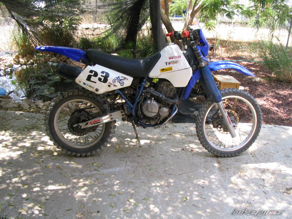 1991 SUZUKI DR 350 | Picture 420654 motorcycle photo