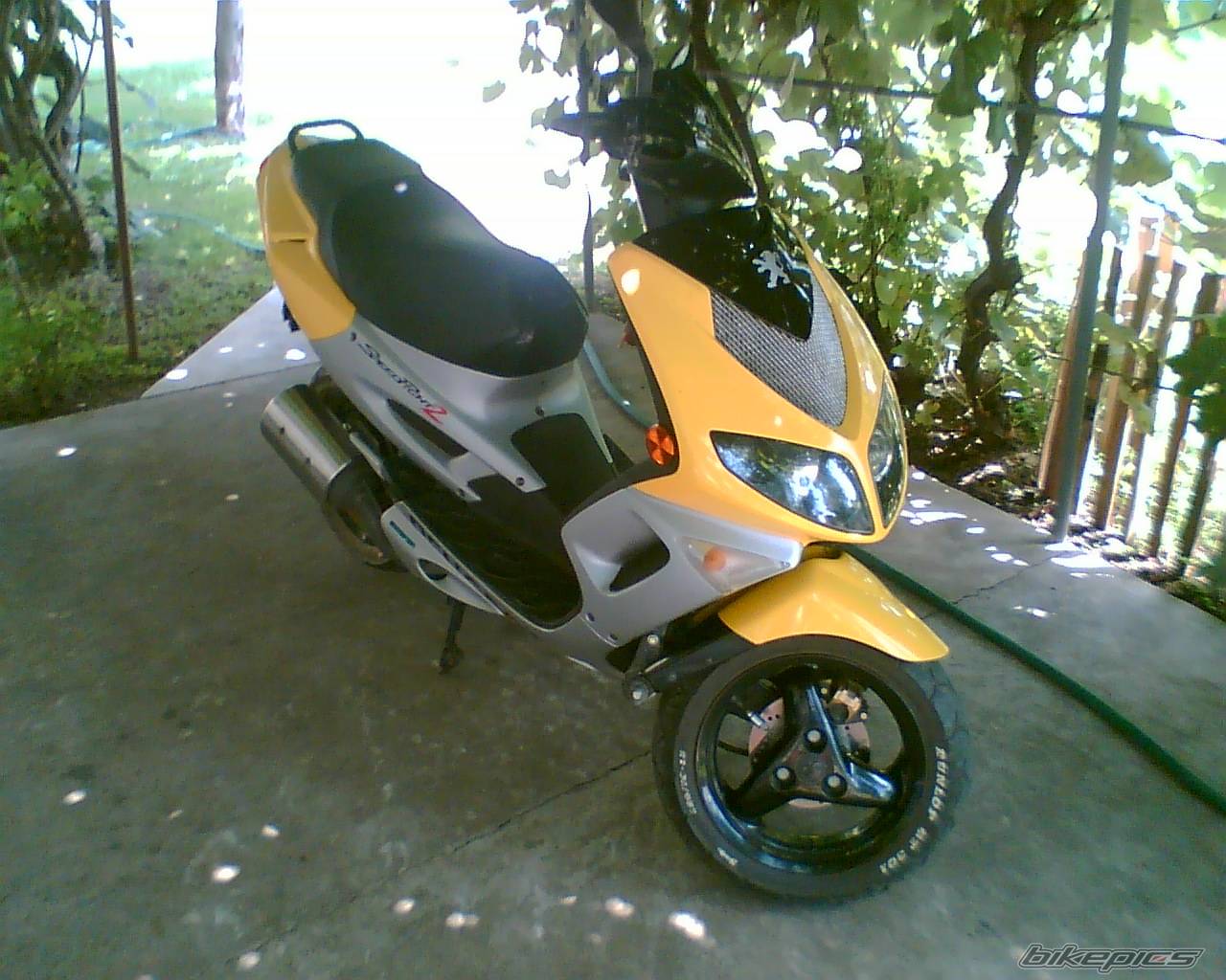 2001 PEUGEOT SPEEDFIGHT2 50 | Picture 420664 motorcycle photo