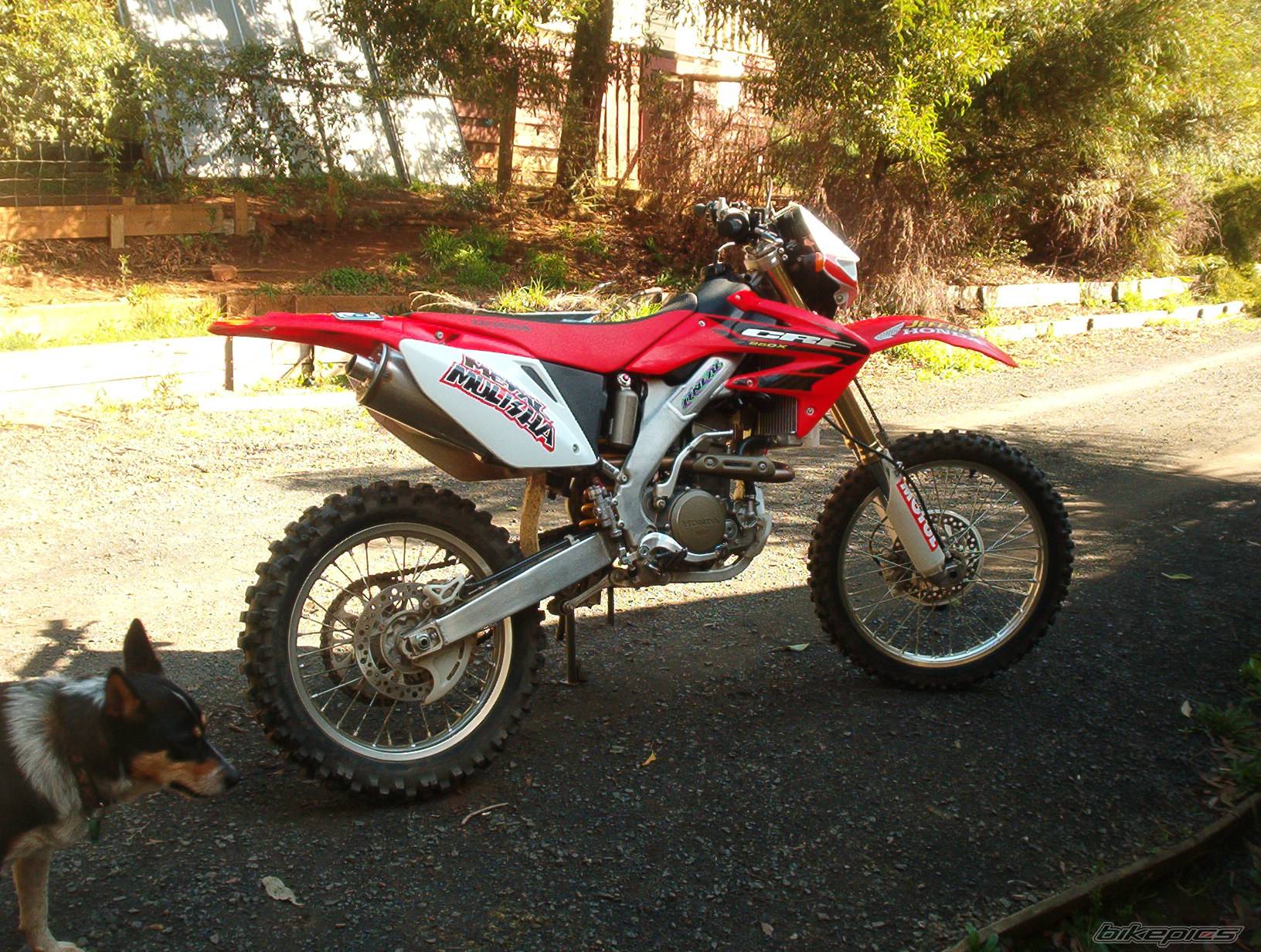 2004 HONDA CRF 250X | Picture 420961 motorcycle photo