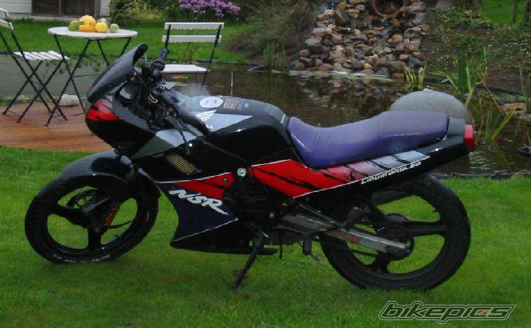 1994 HONDA NSR 50 | Picture 42152 motorcycle photo
