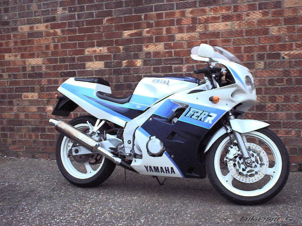 1989 YAMAHA FZR 250 | Picture 42157 motorcycle photo
