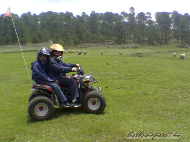 2004 POLARIS PREDATOR 90 | Picture 421575 motorcycle photo