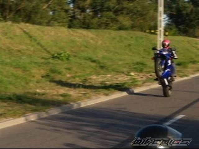 1998 YAMAHA YZF R1 | Picture 422194 motorcycle photo