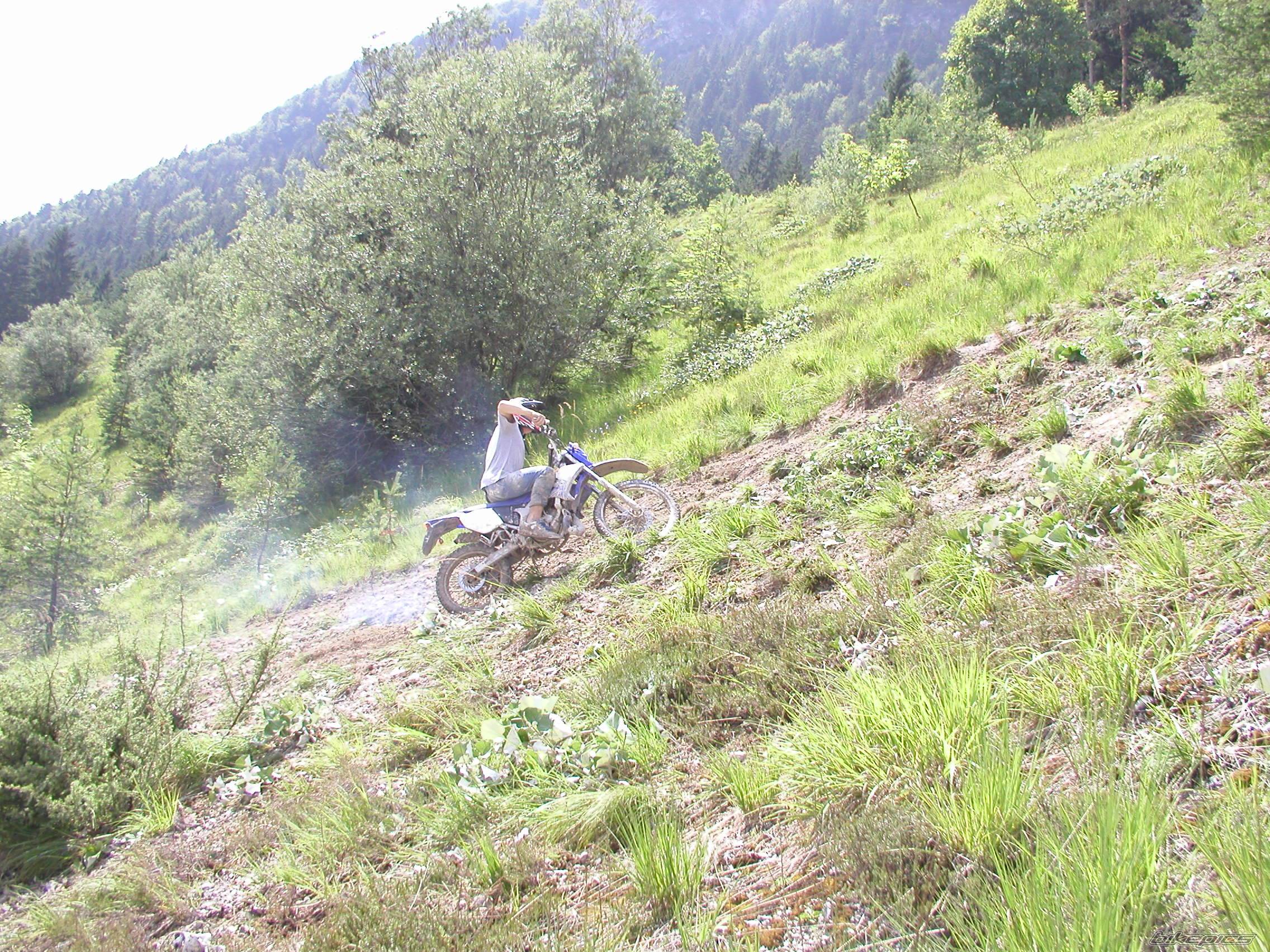 2005 YAMAHA DT 50 | Picture 422493 motorcycle photo