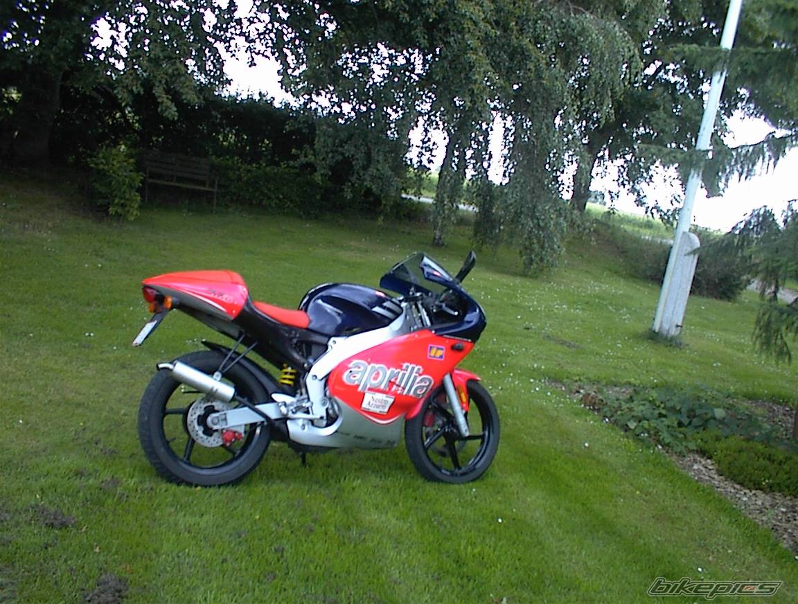 2000 APRILIA RS 50 | Picture 42259 motorcycle photo