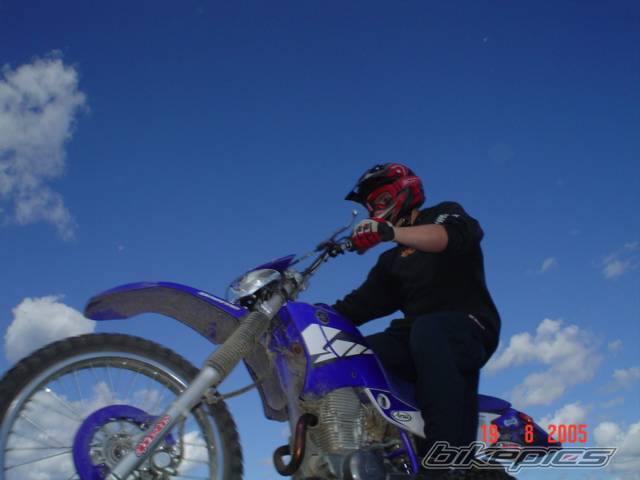 2004 YAMAHA TTR 225 | Picture 422769 motorcycle photo