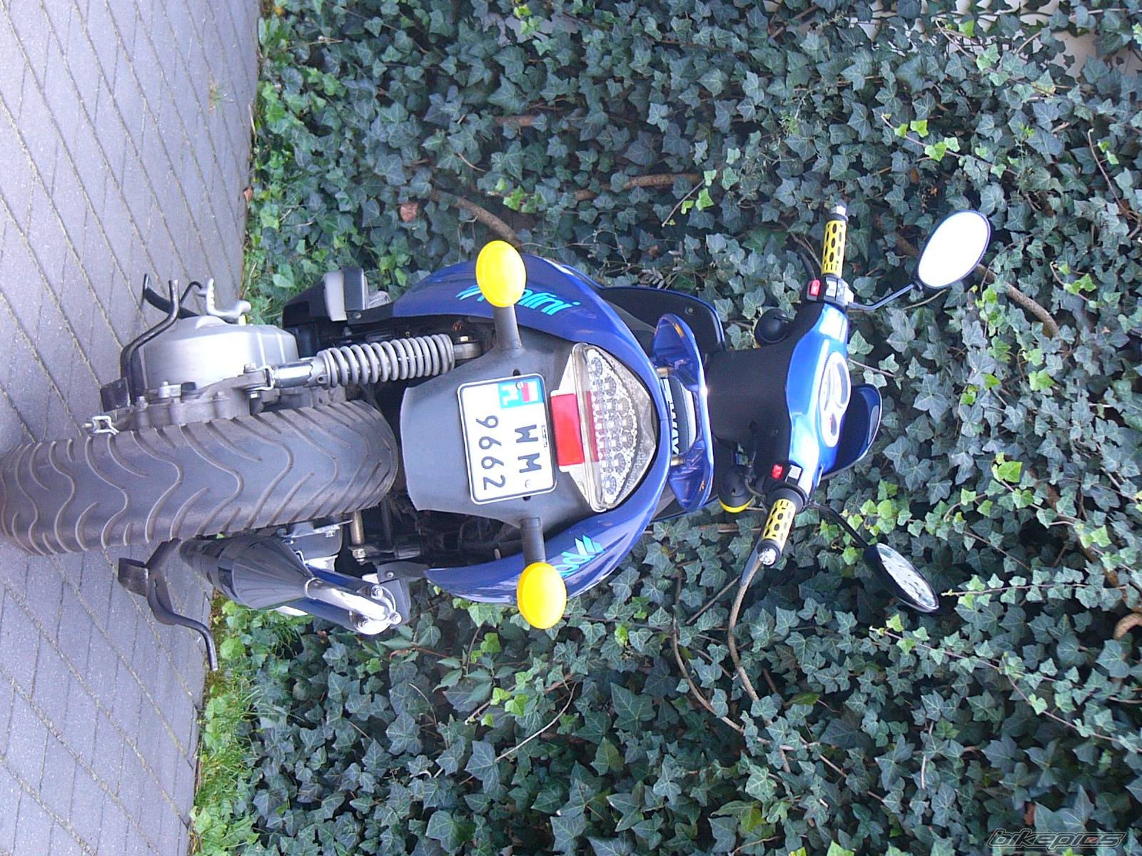 2004 KEEWAY FOCUS 50 | Picture 422770 motorcycle photo