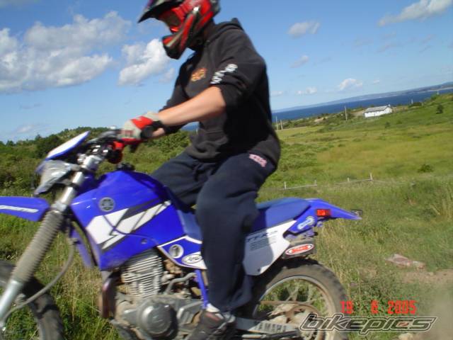 2004 YAMAHA TTR 225 | Picture 422771 motorcycle photo