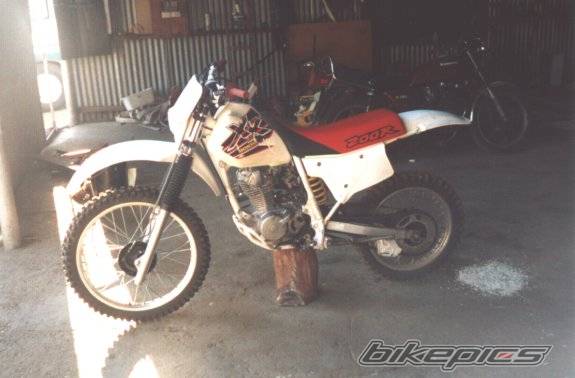 1999 HONDA XR 200 | Picture 42293 motorcycle photo