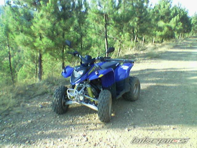 2005 POLARIS PHOENIX 200 | Picture 423963 motorcycle photo