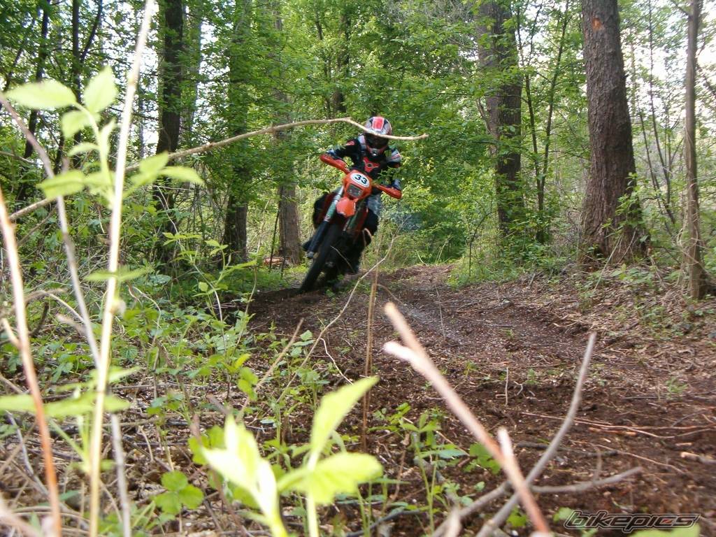 2003 KTM 125 EXC | Picture 424068 motorcycle photo
