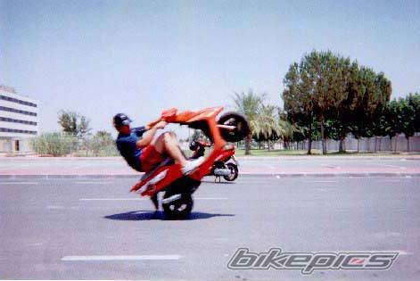 2000 HONDA SFX | Picture 42422 motorcycle photo