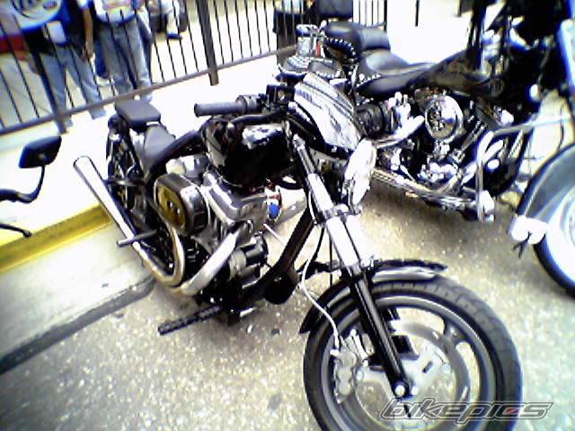 2002 BUELL X1 | Picture 424417 motorcycle photo