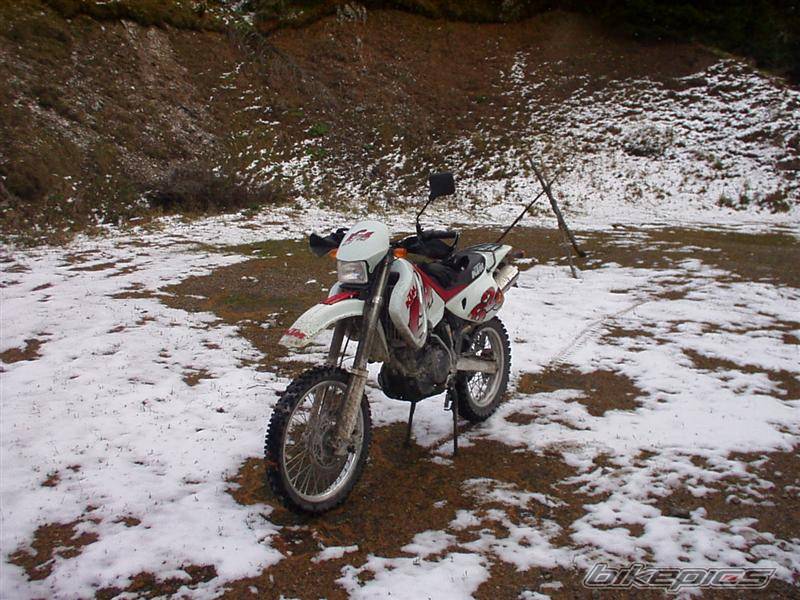 1997 KTM 640 LC4 | Picture 42469 motorcycle photo