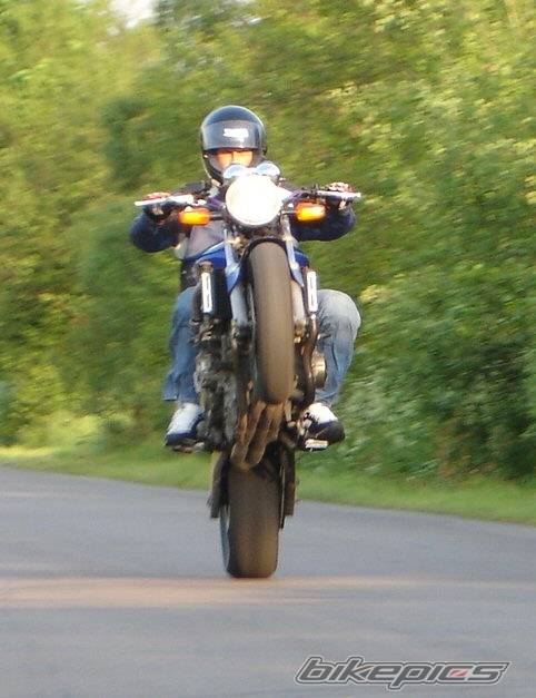1987 HONDA CB 450 | Picture 425330 motorcycle photo