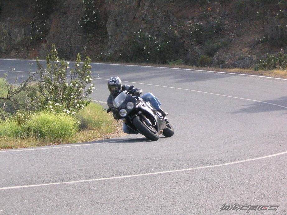1993 HONDA CBR 900 | Picture 425333 motorcycle photo