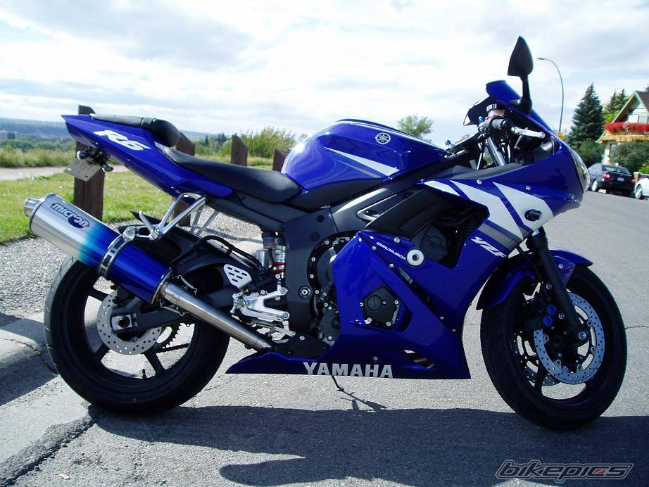 2003 YAMAHA YZF R6 | Picture 425445 motorcycle photo