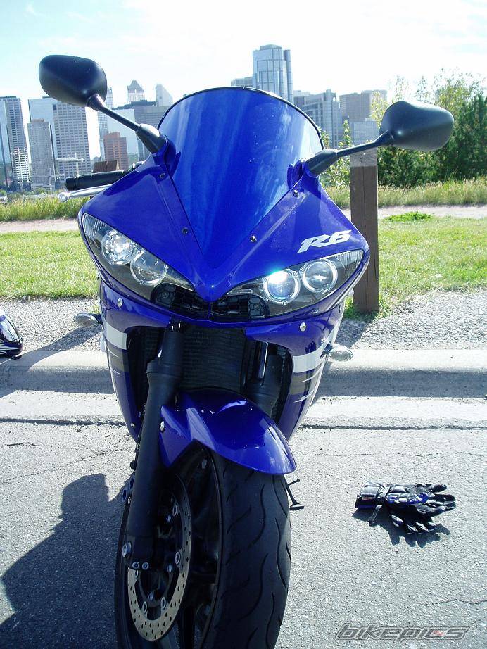 2003 YAMAHA YZF R6 | Picture 425447 motorcycle photo