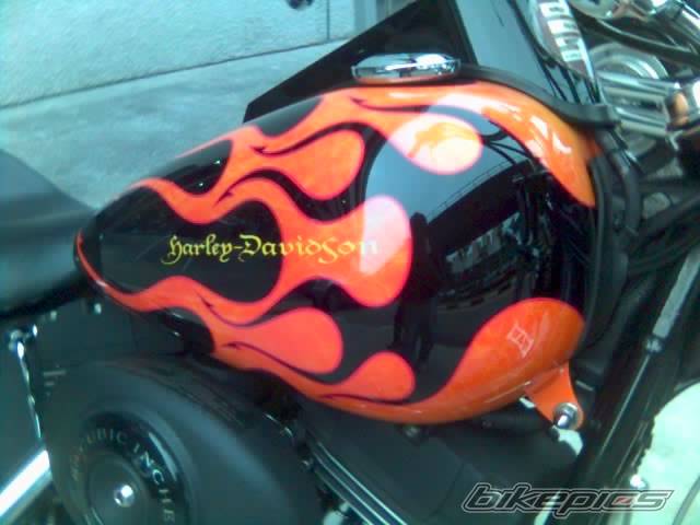2005 HARLEY DAVIDSON FXSTB | Picture 425538 motorcycle photo
