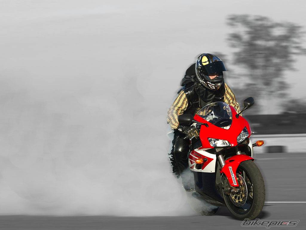 2005 HONDA CBR 1000  RR | Picture 425595 motorcycle photo