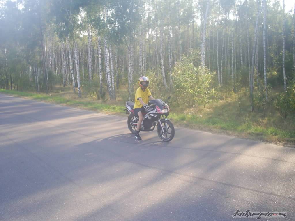 1994 HONDA NS1 80 | Picture 425702 motorcycle photo